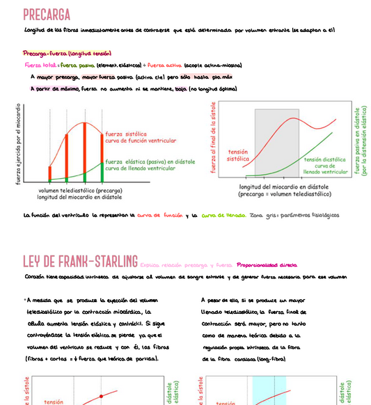 ❤️ Fisiología Médica I — (2º Medicina)