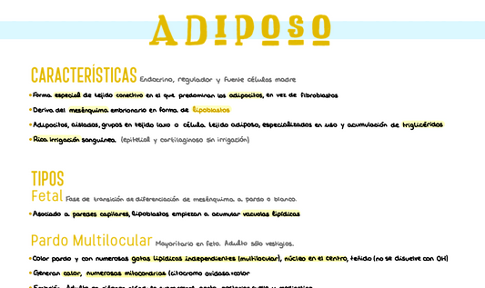 🔬 Histología I — (2º Medicina)
