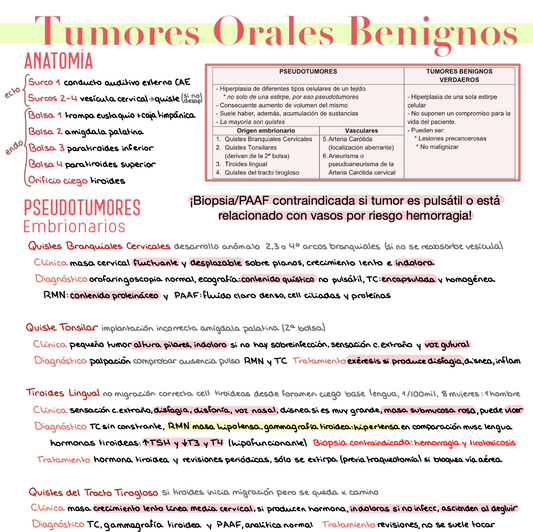 🎧 Otorrinolaringología — (4º Medicina)