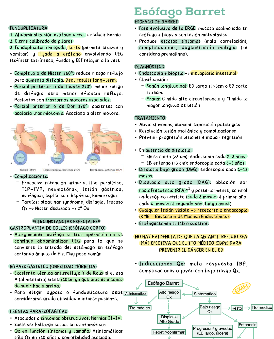 🫀 Cirugía Abdominal — Cirugía I (4º Medicina)