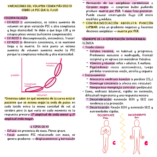 🧠 Neurocirugía — Cirugía I (4º Medicina)