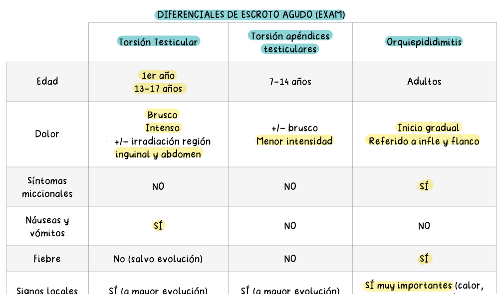 🍆 Urología — Cirugía II (5º Medicina)