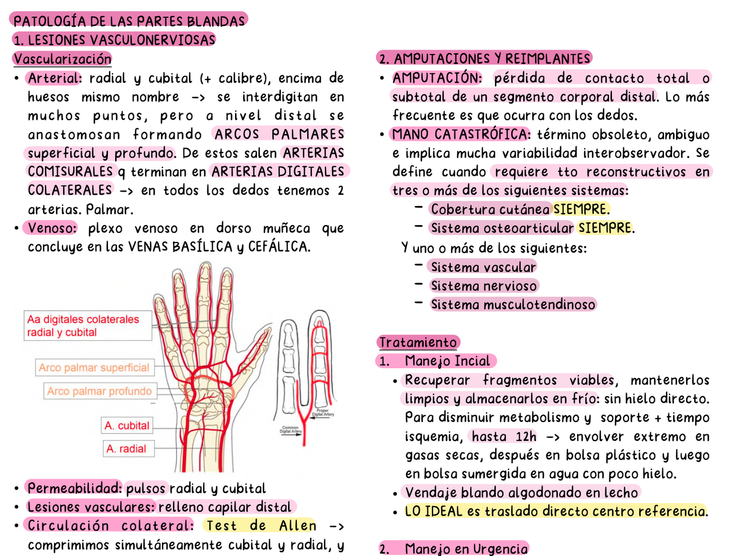 🦴 Traumatología — Cirugía II (5º Medicina)
