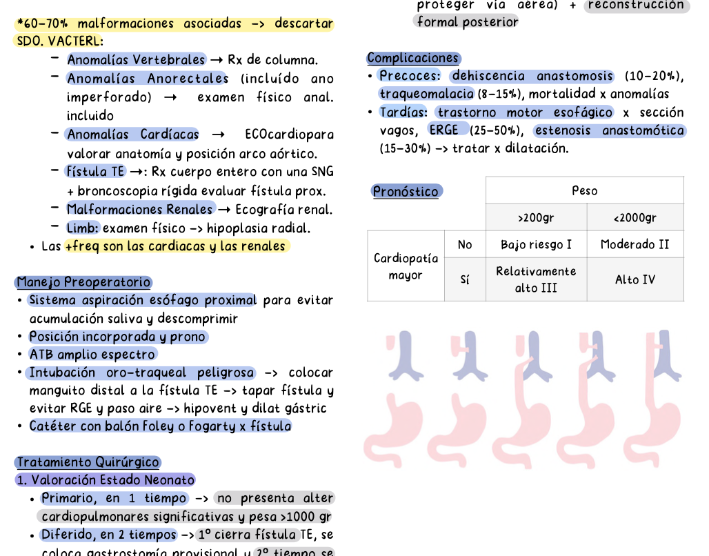👶 Cirugía Pediátrica — Cirugía II (5º Medicina)
