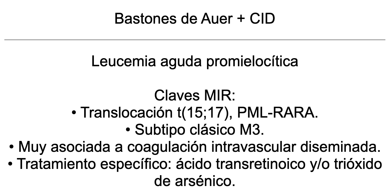 🩸 Ankis patogMIRmónicos Hematología