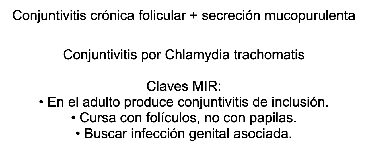 👁️ Ankis patogMIRmónicos Oftalmología