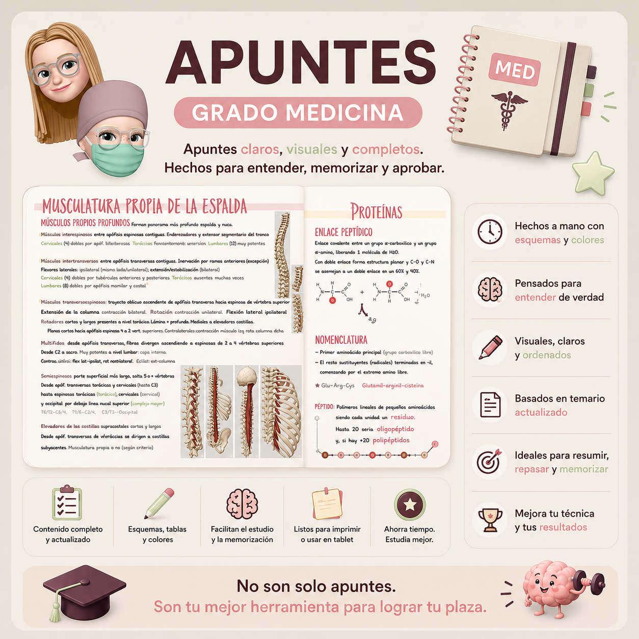 Apuntes Grado Medicina