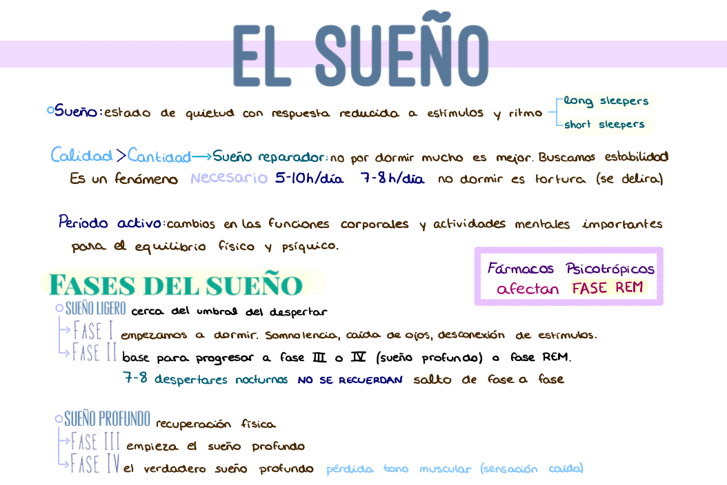 🧠 Psicología Médica — (1º Medicina)