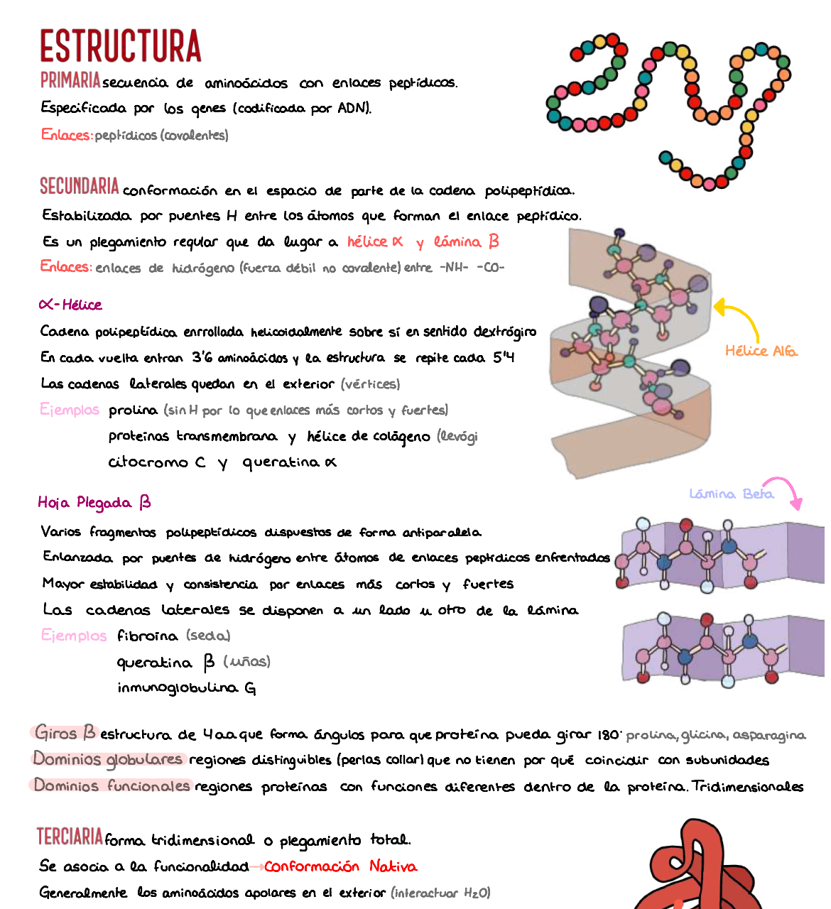 🧬 Bioquímica Básica — (1º Medicina)