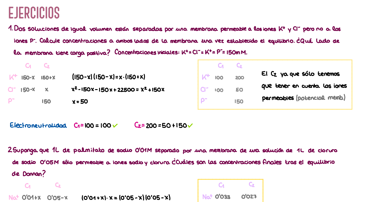 ⚡ Fisiología I — (1º Medicina)