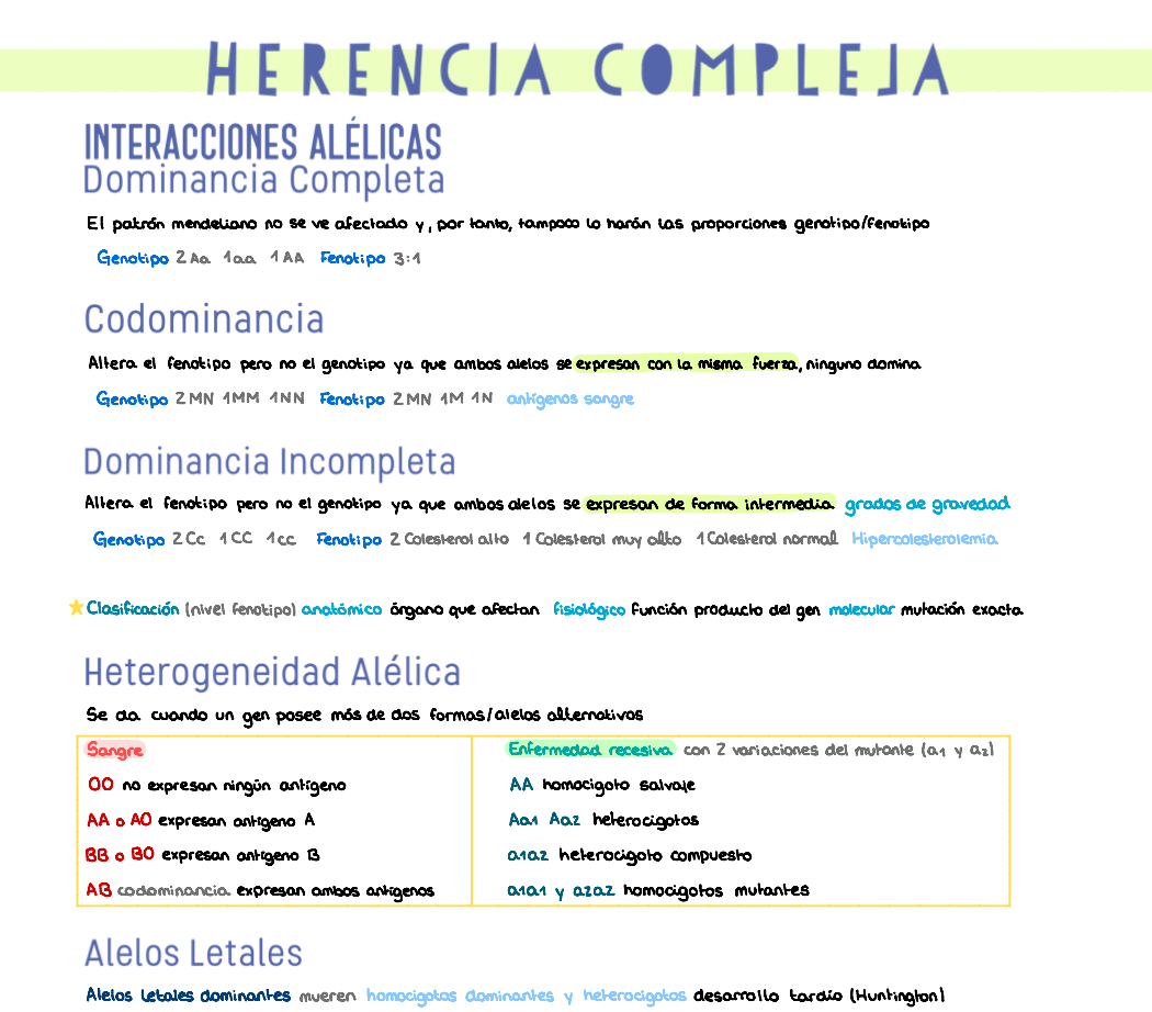 🧬 Genética y Biología del Desarrollo — (1º Medicina)