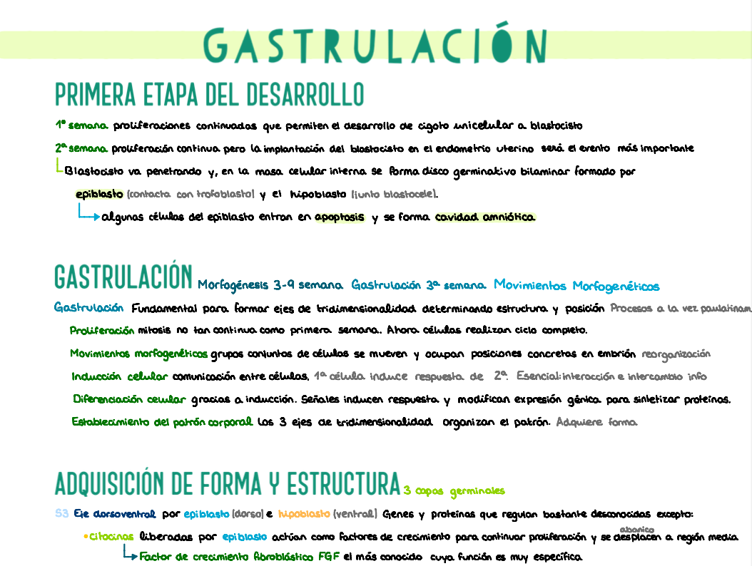🧬 Genética y Biología del Desarrollo — (1º Medicina)