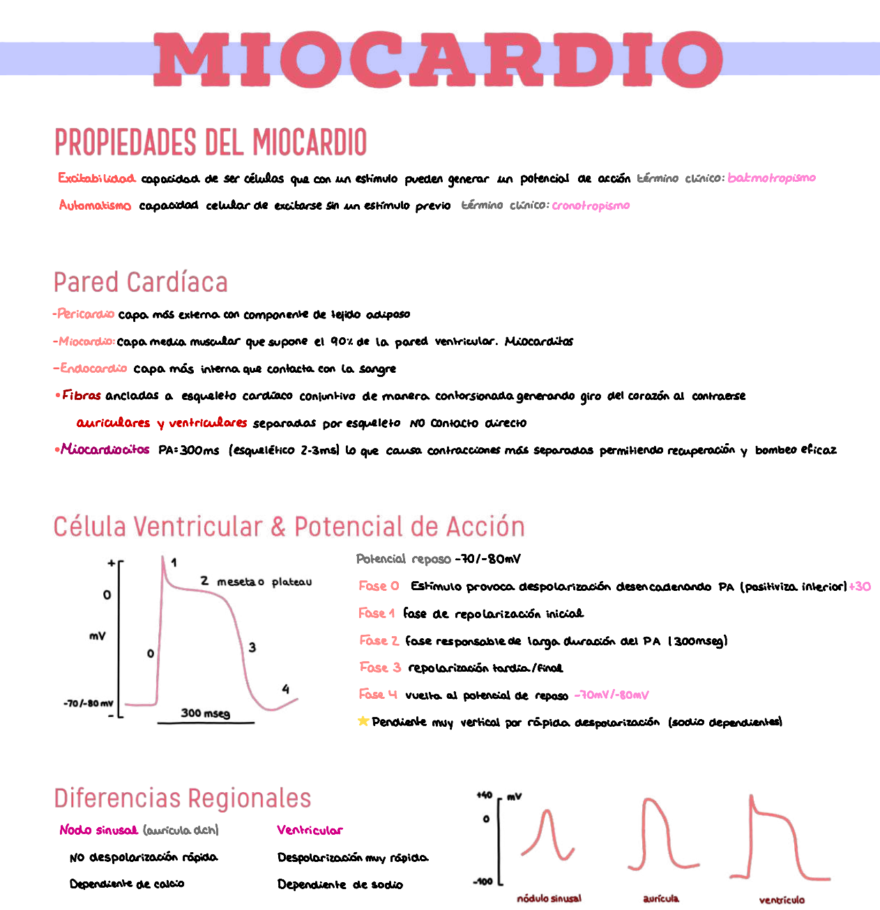 ❤️ Fisiología Médica I — (2º Medicina)