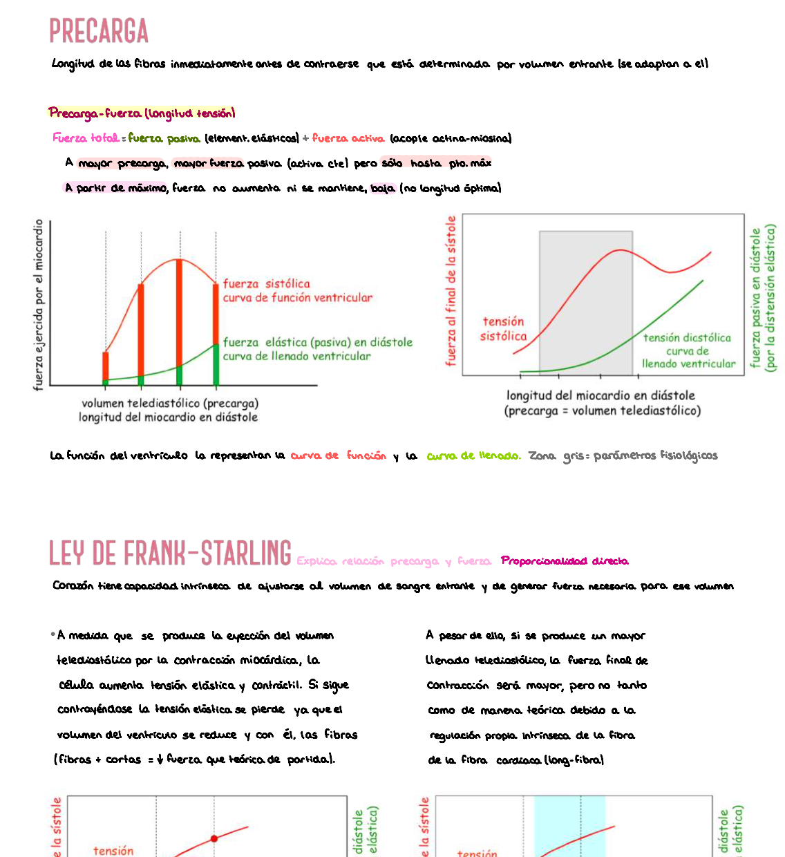 ❤️ Fisiología Médica I — (2º Medicina)