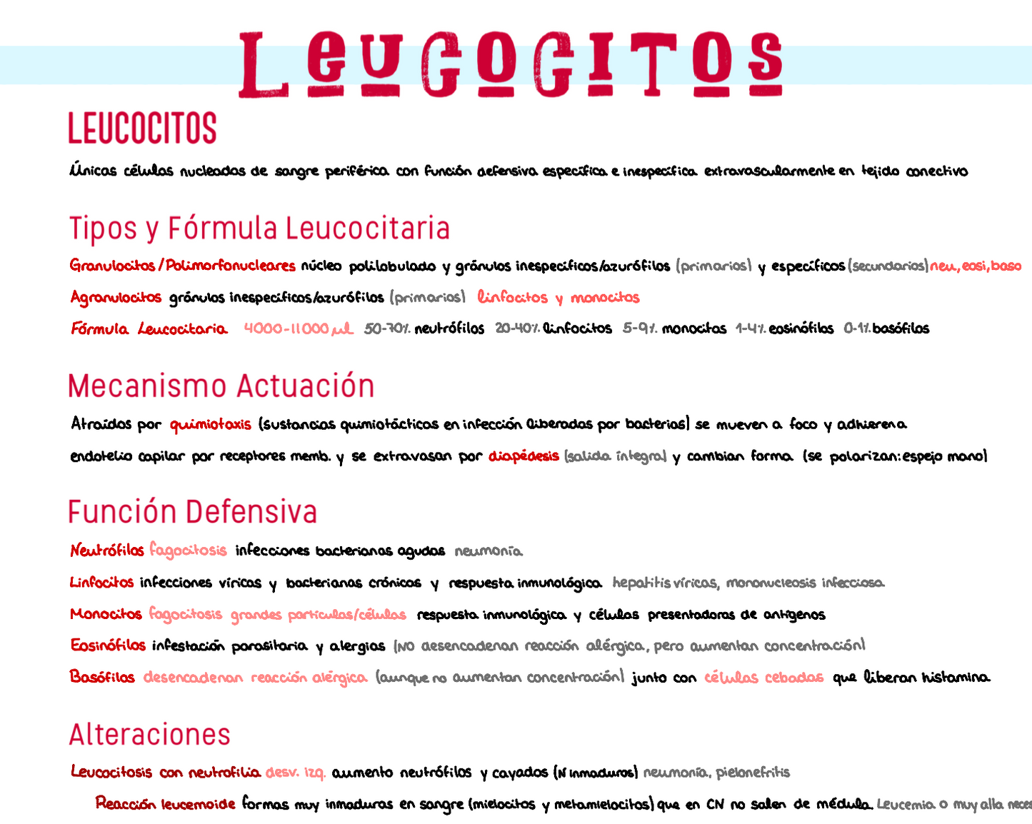 🔬 Histología I — (2º Medicina)