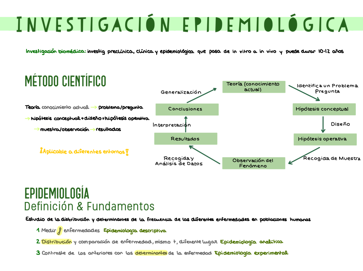 🔍 Investigación Biomédica — (2º Medicina)