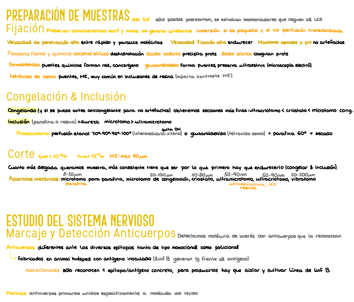 🔍 Investigación Biomédica — (2º Medicina)