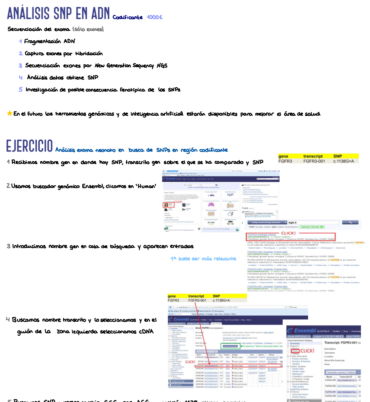 🔍 Investigación Biomédica — (2º Medicina)
