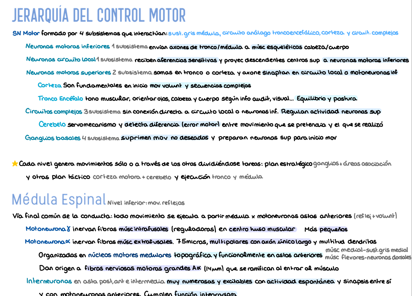 ⚡ Fisiología II — (2º Medicina)