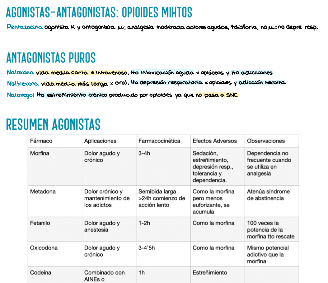 💊 Farmacología — (3º Medicina)