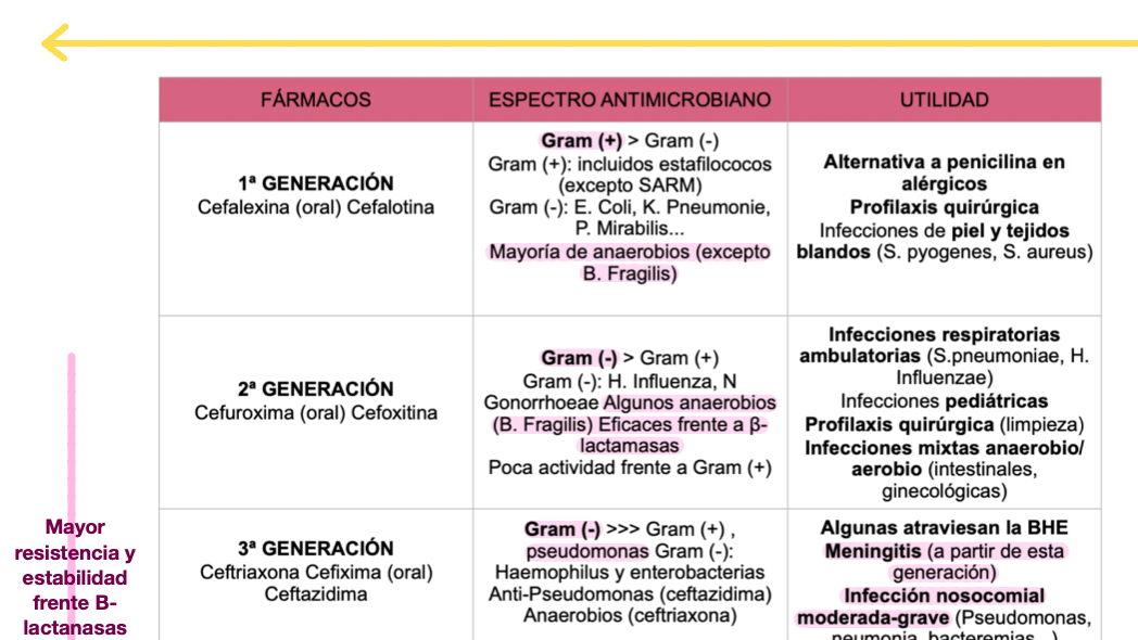 💊 Farmacología — (3º Medicina)