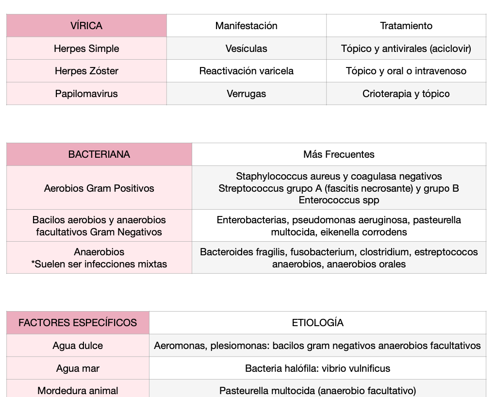 🦠 Microbiología Clínica — (3º Medicina)