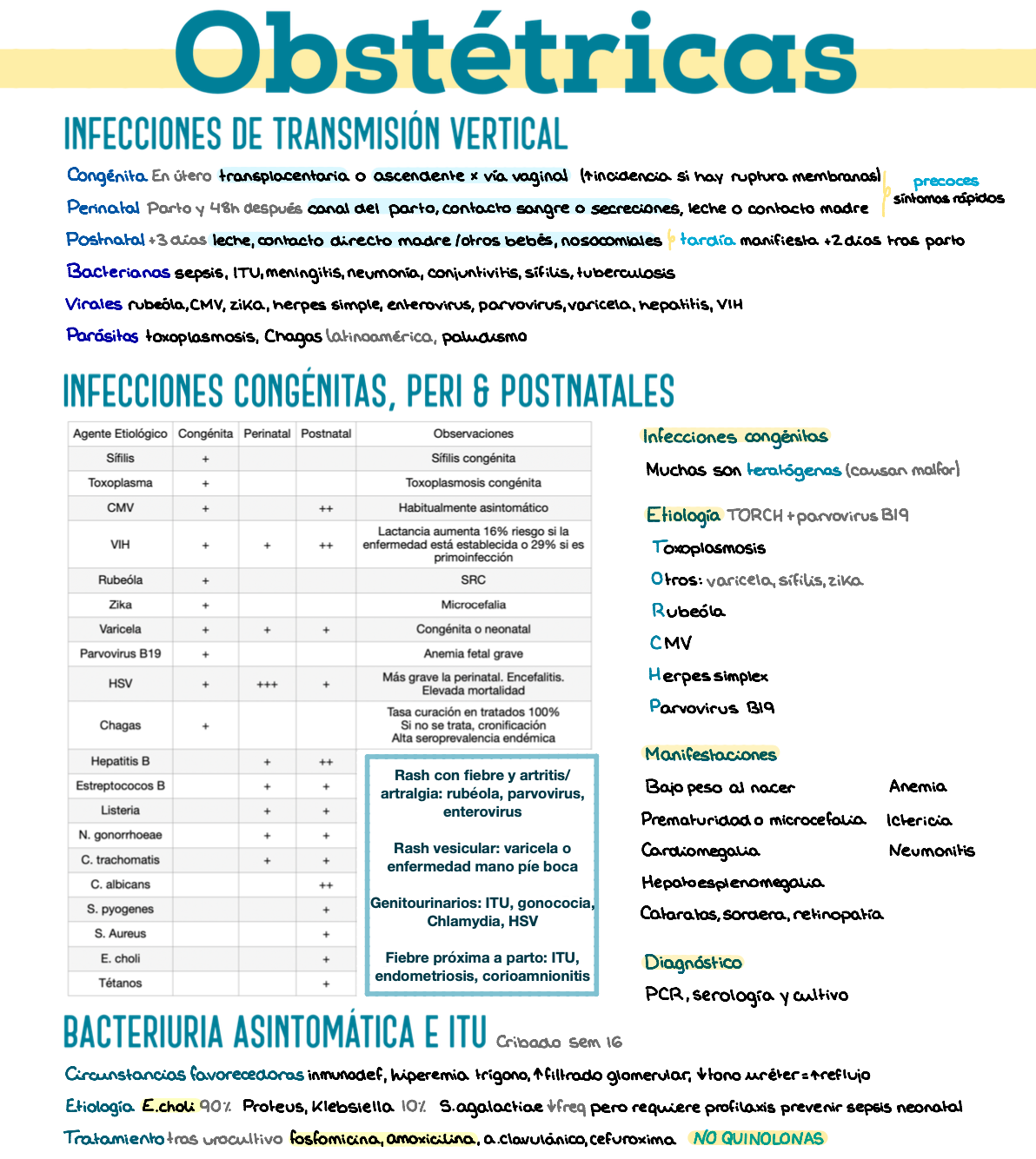 🦠 Microbiología Clínica — (3º Medicina)