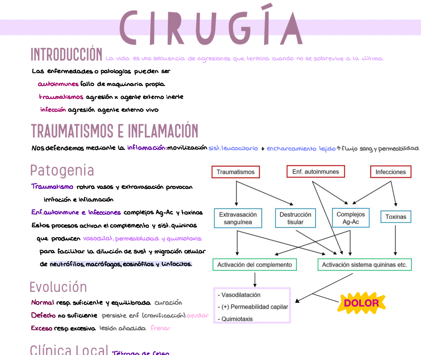 🩺 Fundamentos de Cirugía — (3º Medicina)