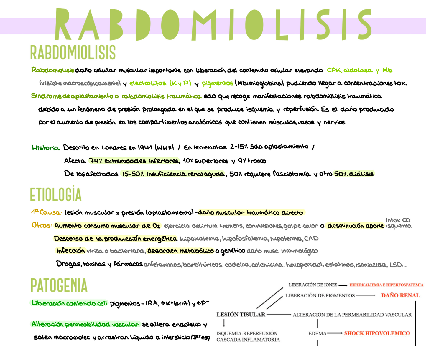 🩺 Fundamentos de Cirugía — (3º Medicina)
