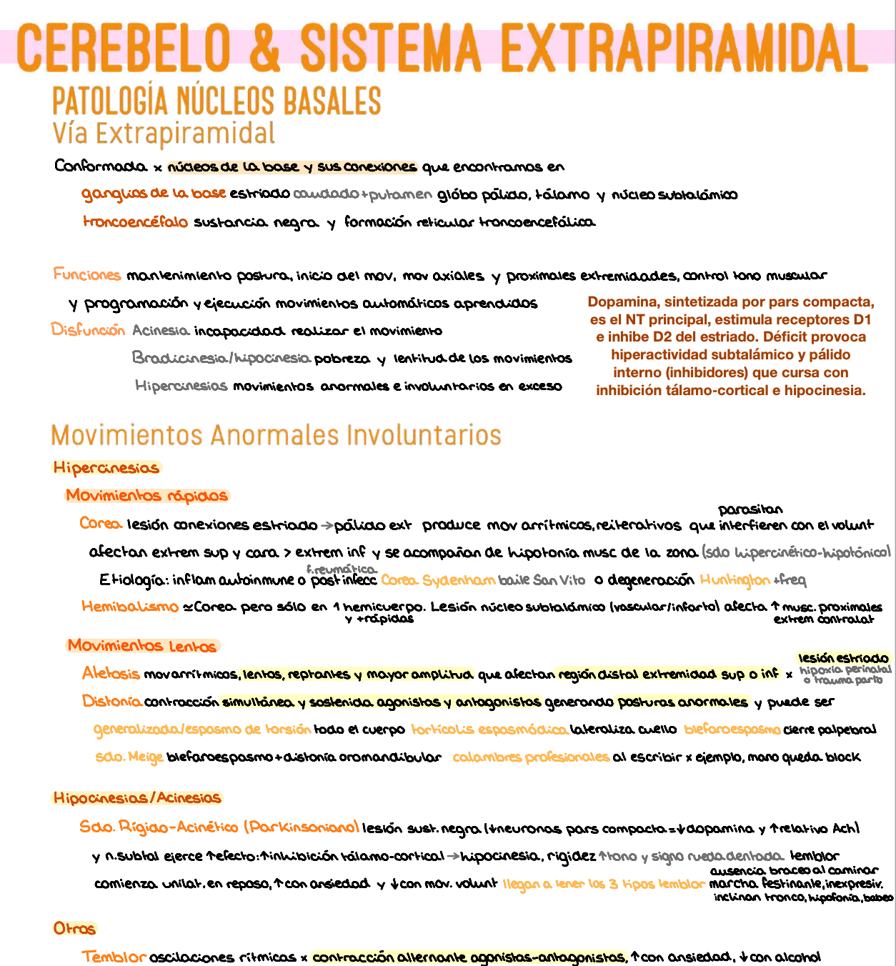 🧬 Patología General — (3º Medicina)