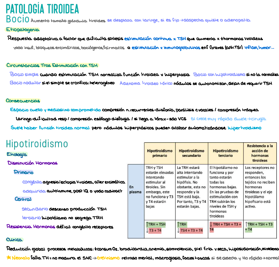 🧬 Patología General — (3º Medicina)