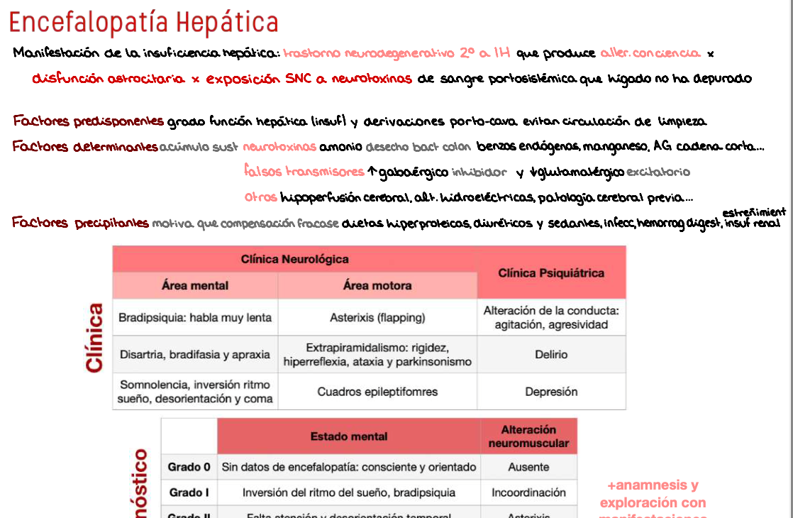 🧬 Patología General — (3º Medicina)