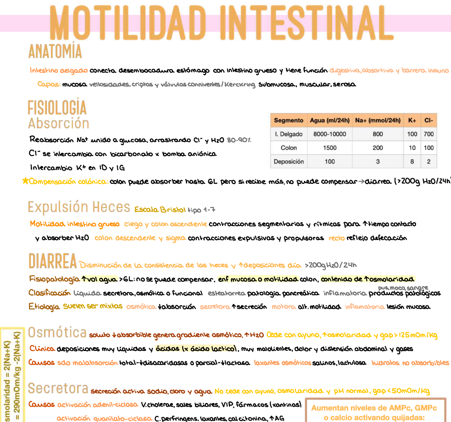 🧬 Patología General — (3º Medicina)