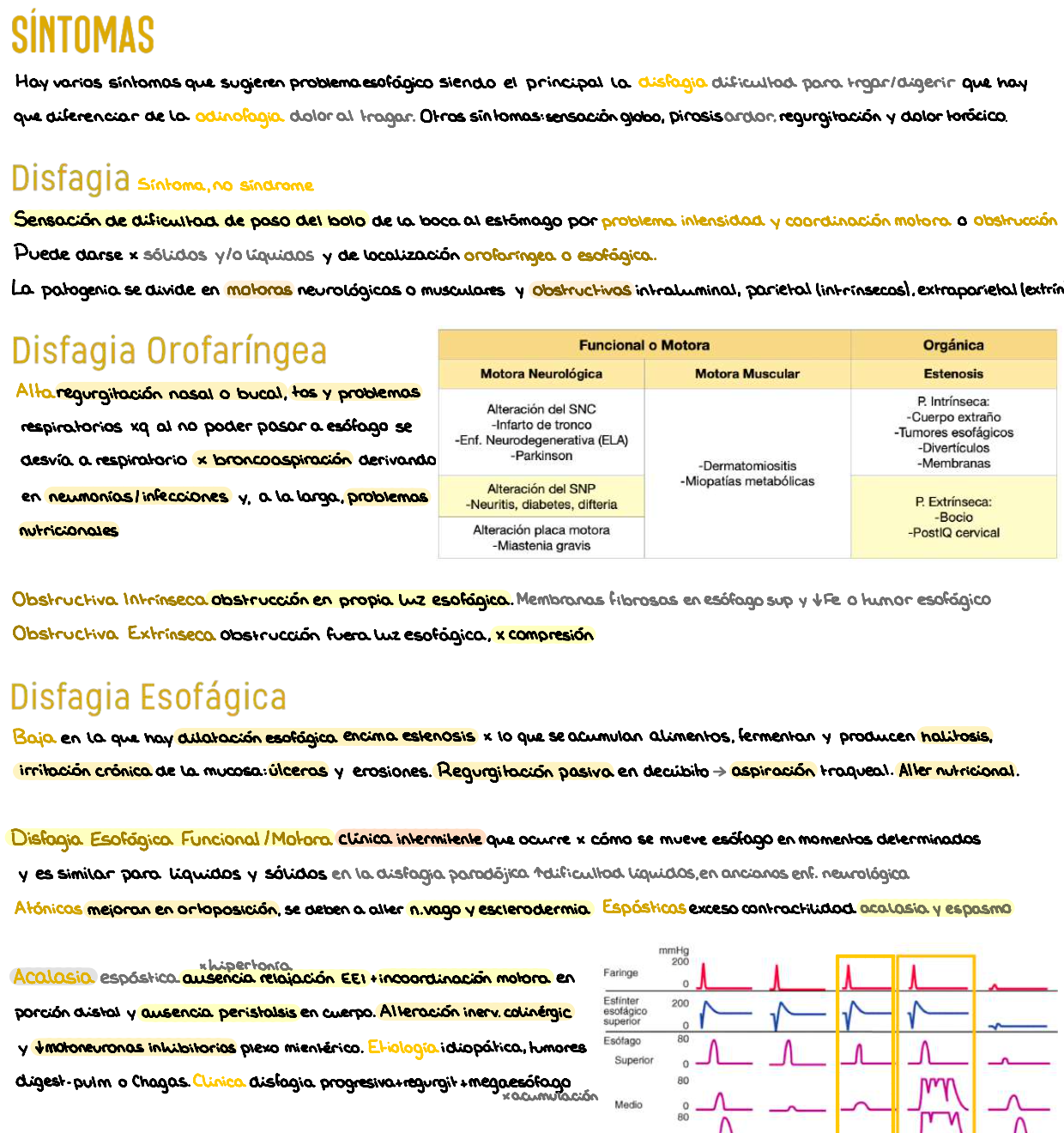 🧬 Patología General — (3º Medicina)