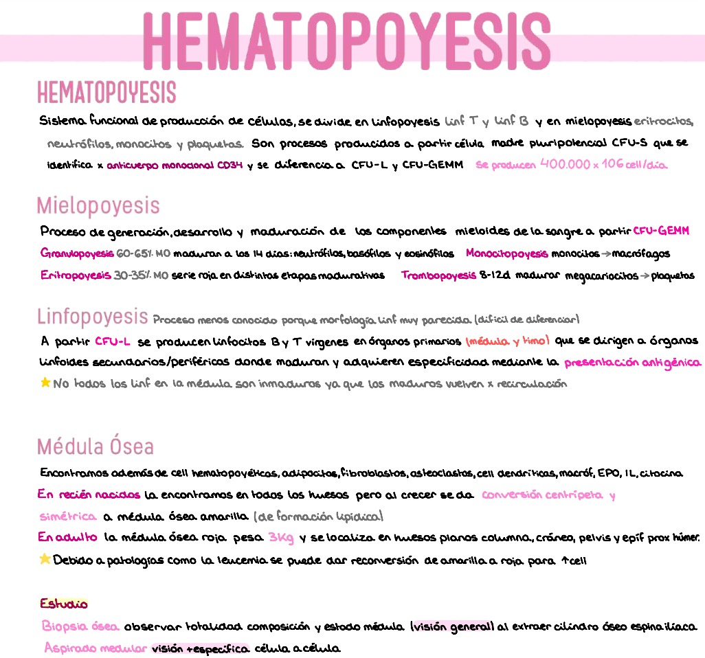 🧬 Patología General — (3º Medicina)