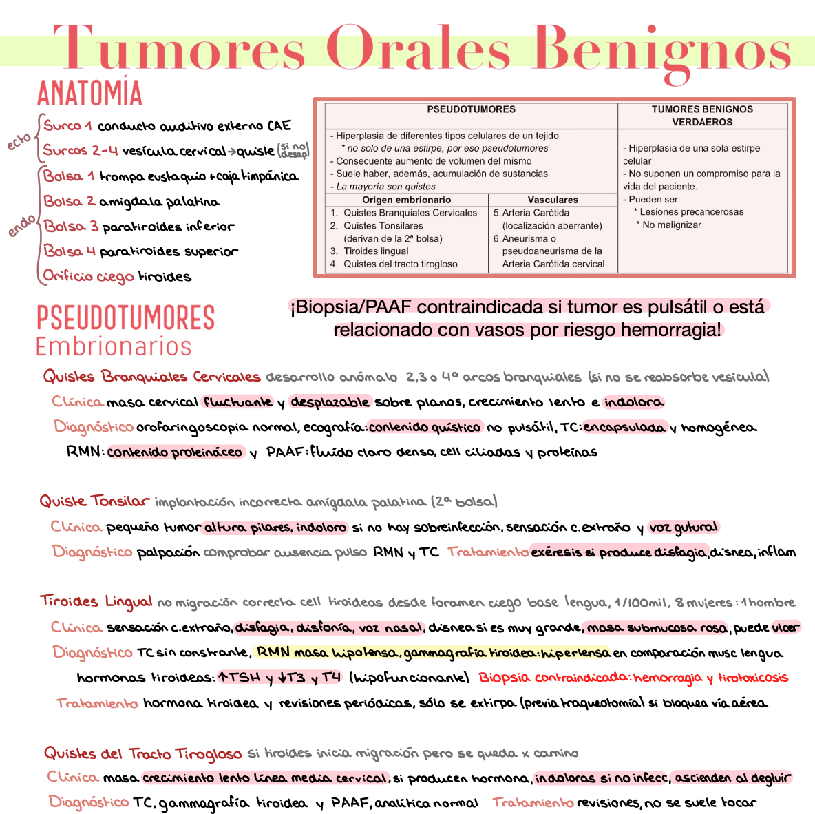 🎧 Otorrinolaringología — (4º Medicina)