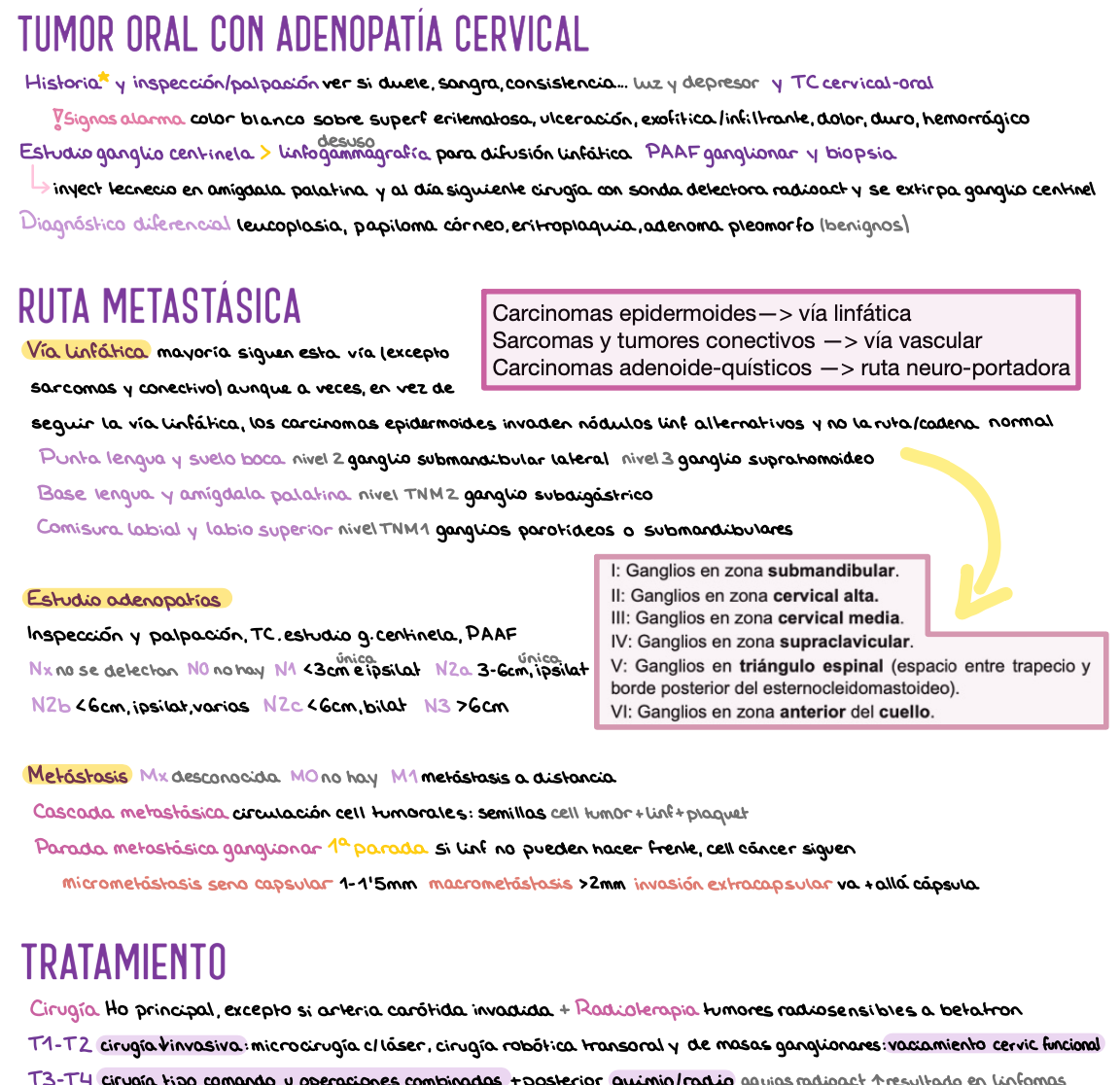 🎧 Otorrinolaringología — (4º Medicina)