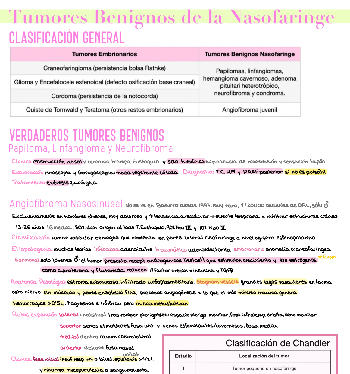 🎧 Otorrinolaringología — (4º Medicina)
