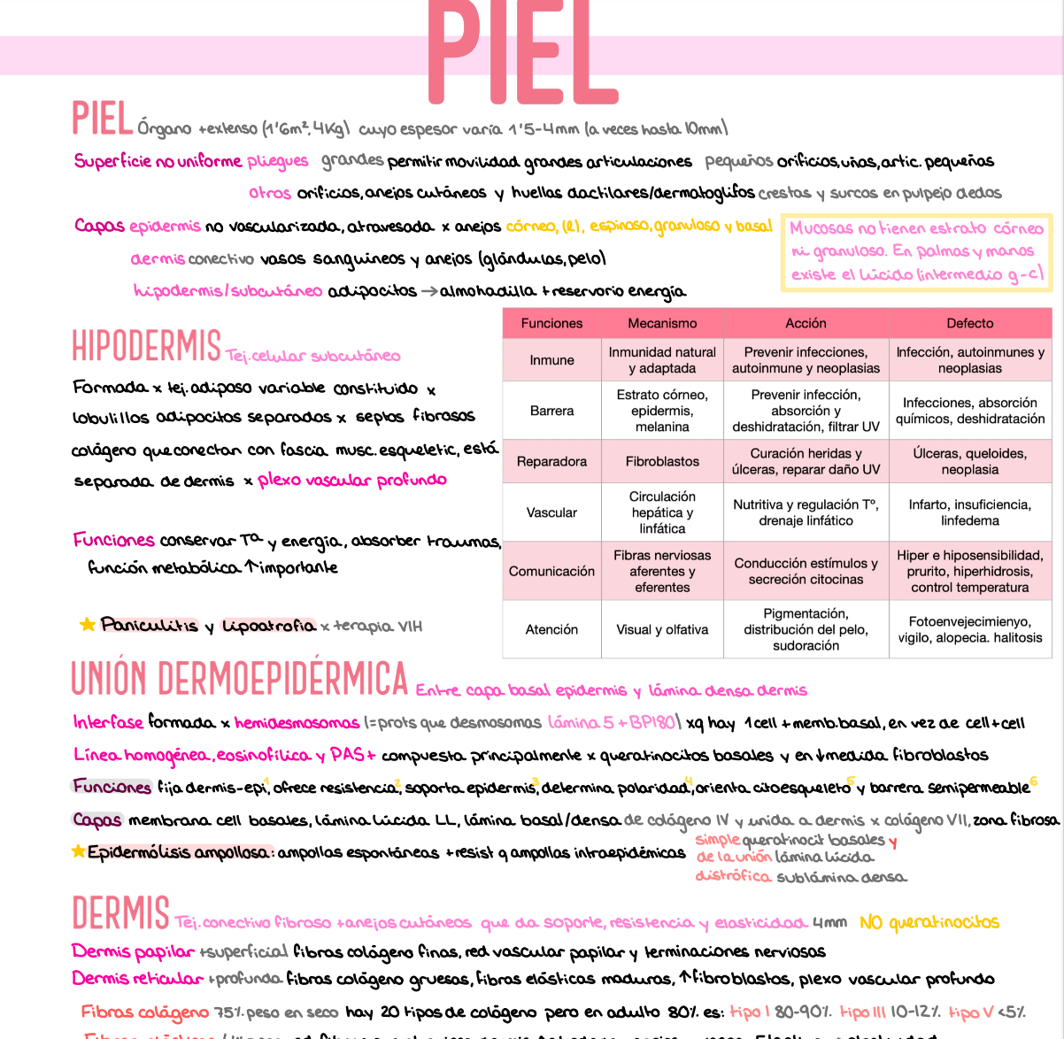 🩺 Dermatología — (4º Medicina)