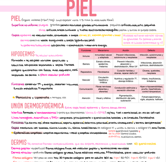 🩺 Dermatología — (4º Medicina)