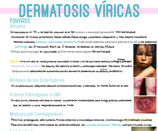 🩺 Dermatología — (4º Medicina)