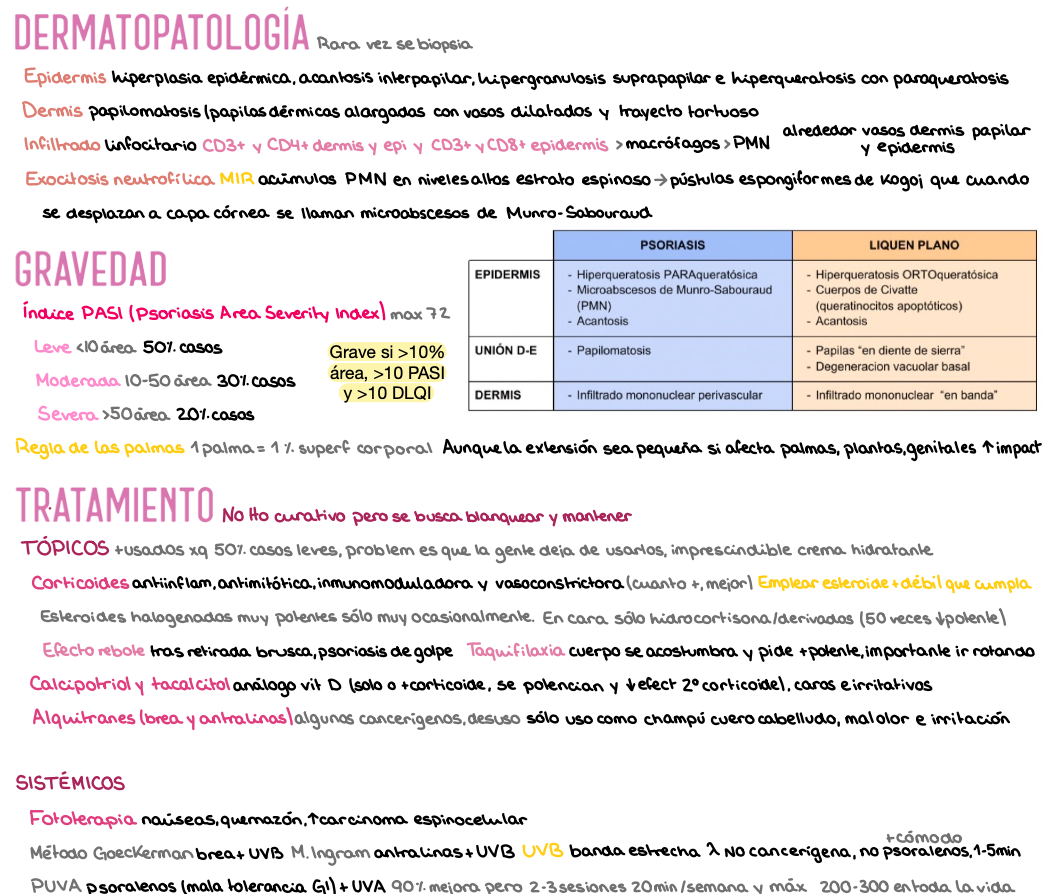 🩺 Dermatología — (4º Medicina)