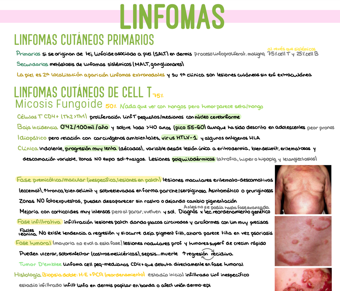 🩺 Dermatología — (4º Medicina)