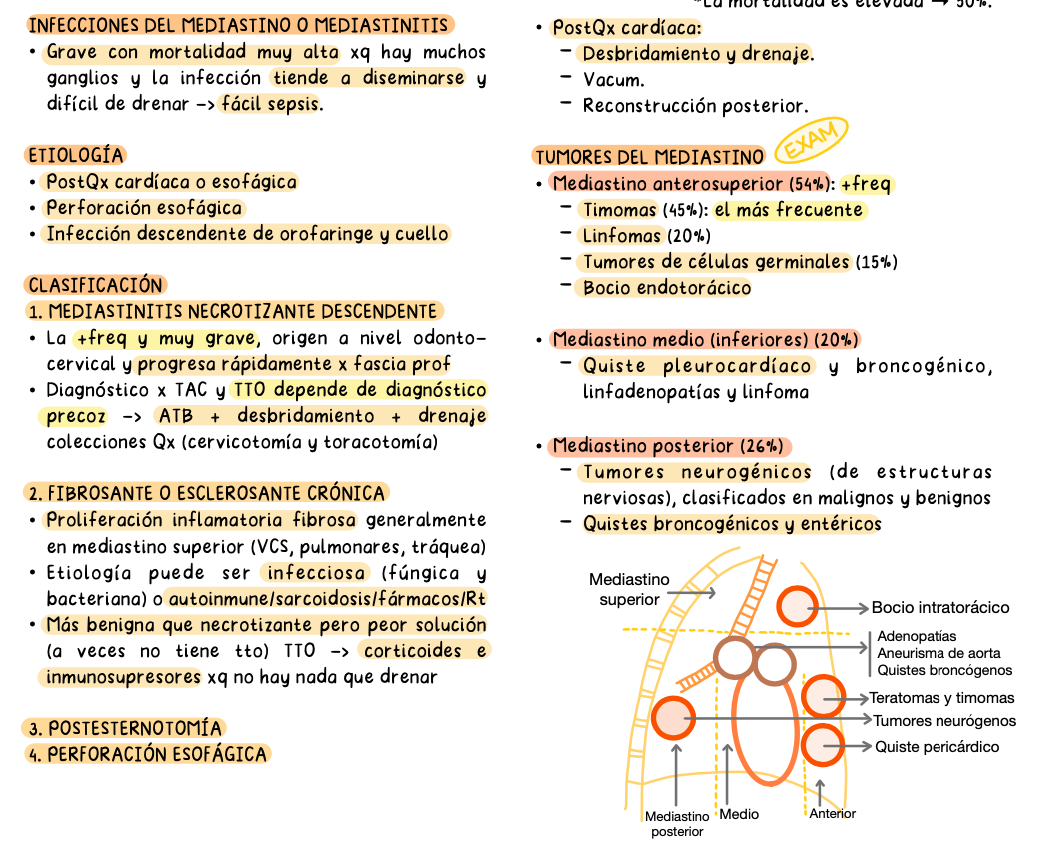 🫁 Cirugía Torácica — Cirugía I (4º Medicina)