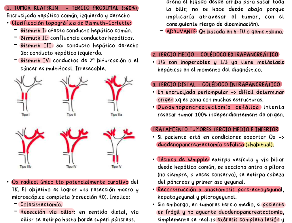 🫀 Cirugía Abdominal — Cirugía I (4º Medicina)