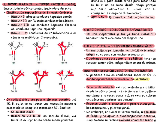 🫀 Cirugía Abdominal — Cirugía I (4º Medicina)