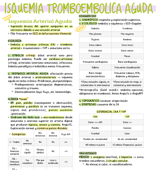 💓 Cirugía Cardiovascular — Cirugía I (4º Medicina)