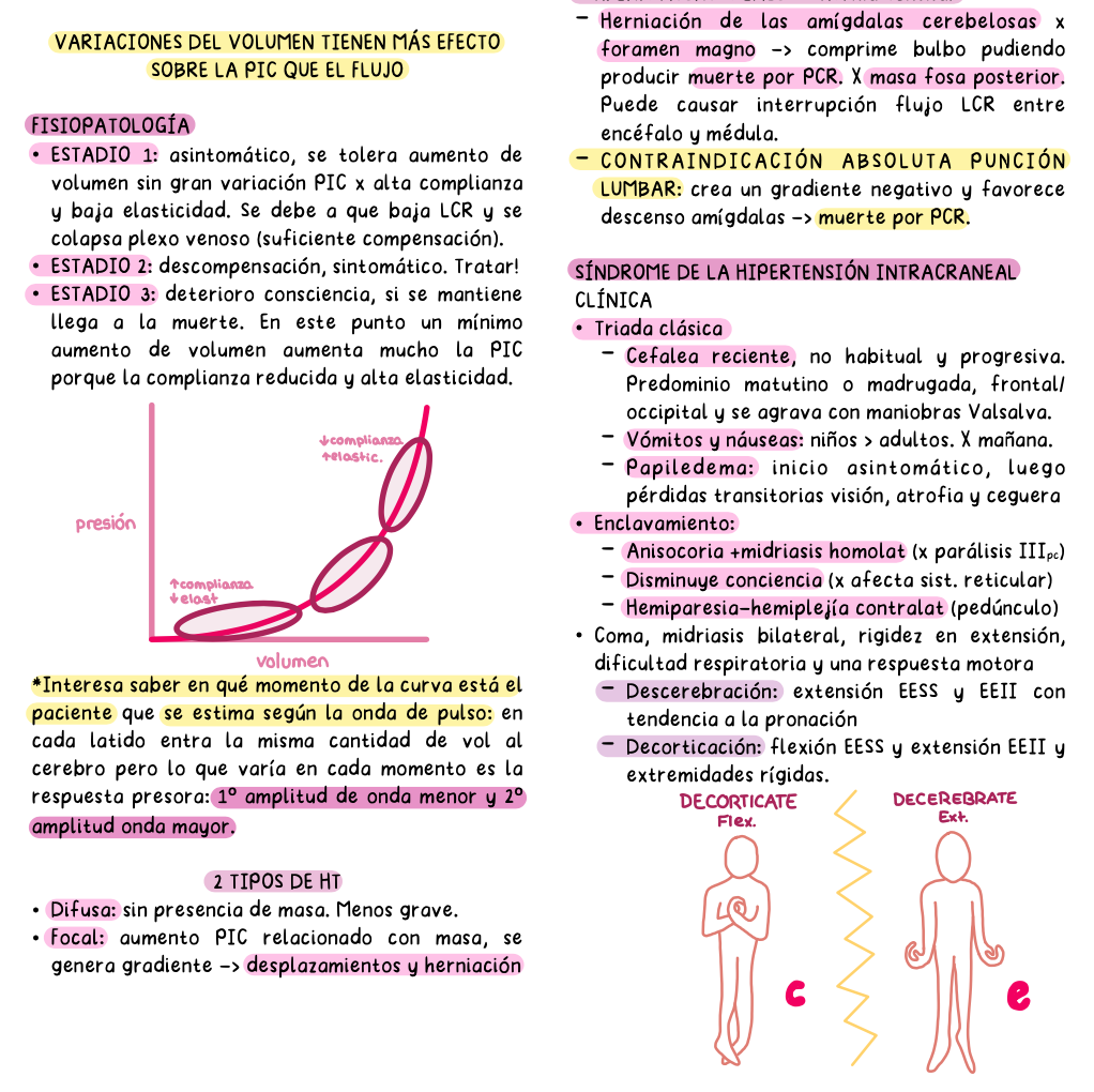 🧠 Neurocirugía — Cirugía I (4º Medicina)