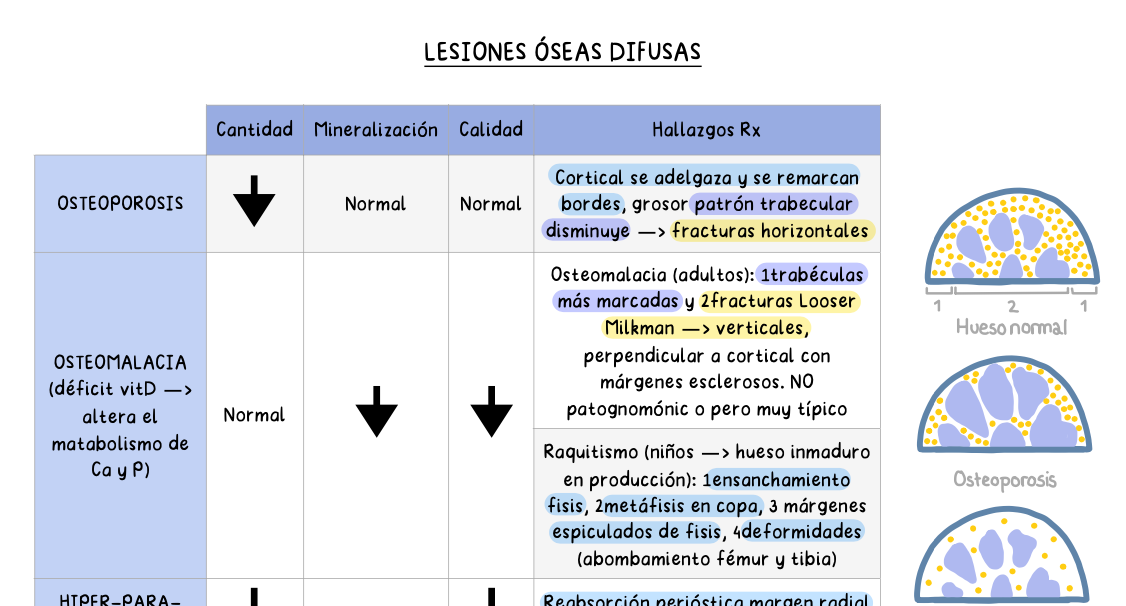 ☢️ Radiología y Medicina Física II — (5º Medicina)