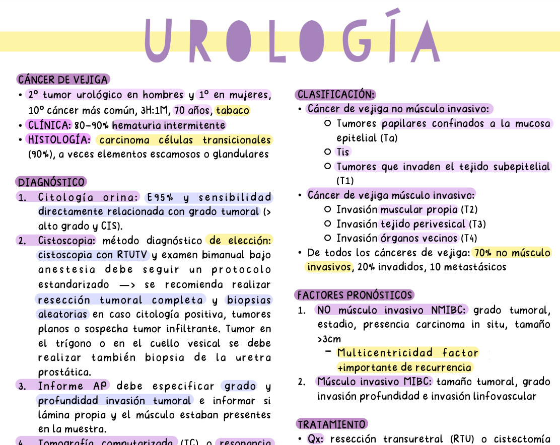 ☢️ Radiología y Medicina Física II — (5º Medicina)